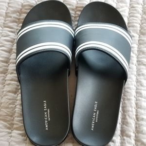 American Eagle Pool Slides